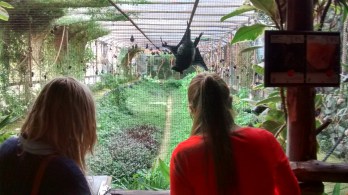 so much fun the bats wanted to get involved as well