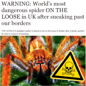express spider headline