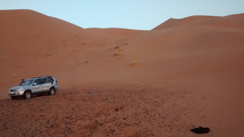 IMG_20160407_070337635