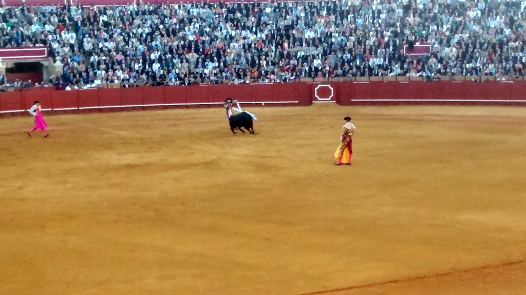 IMG_20160414_200224829_HDR