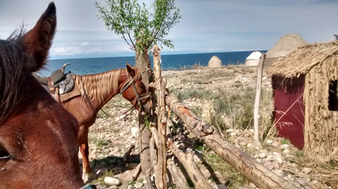 wp-1463469178499 image