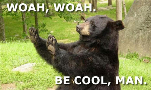 be-cool-bear_211010045939