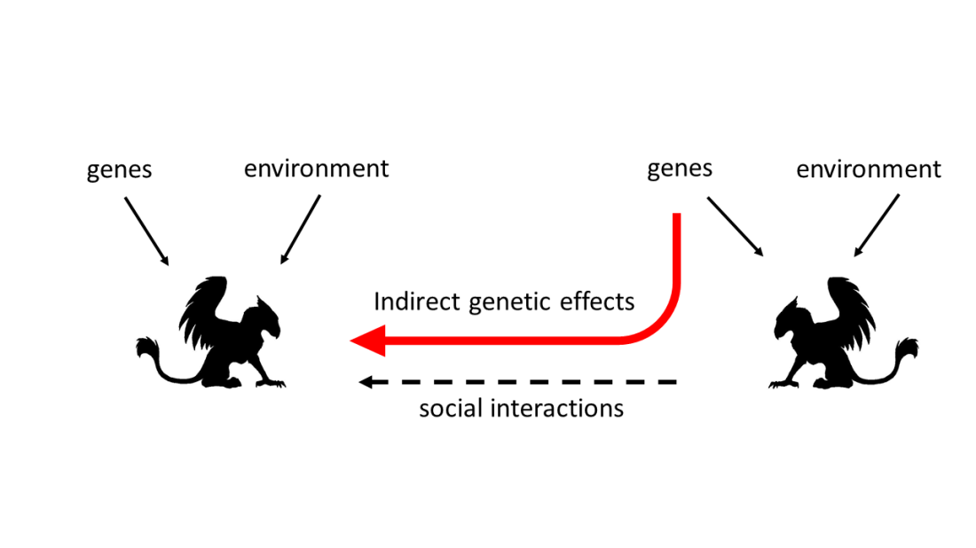 Social Interactions x Env IGE fig.png